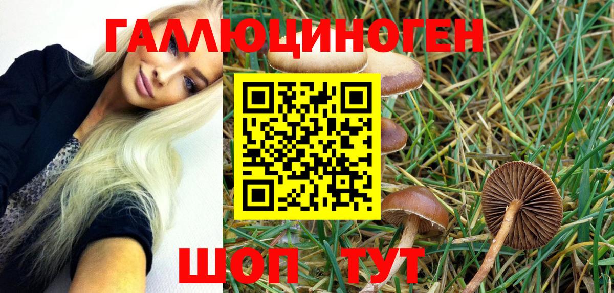 Вязьма  Галлюциногенные грибы Psilocybe  Вход с VPN 